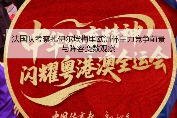 法国队考察扎伊尔埃梅里欧洲杯主力竞争前景与阵容变数观察