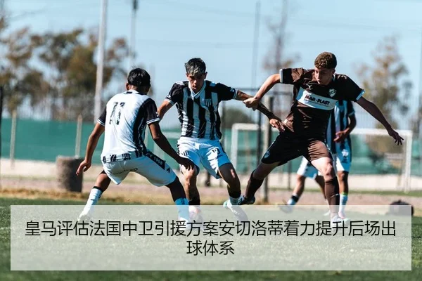 img_1783878358140_3700_1_476.jpg